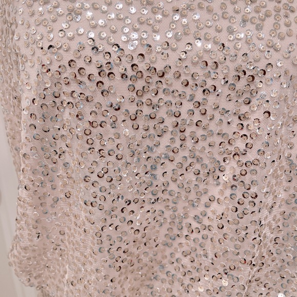 Adrianna Papell Nude Halter Blouson Beaded Mesh Long Gown Size 6 - Picture 6 of 7